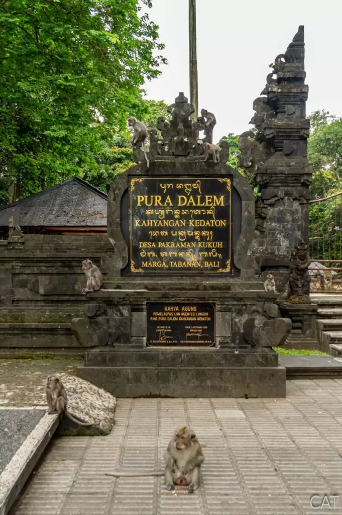 Bali in 7 days