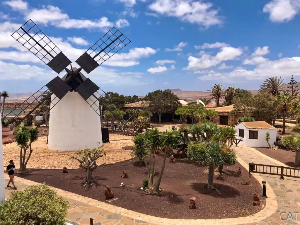 7 días en Fuerteventura
