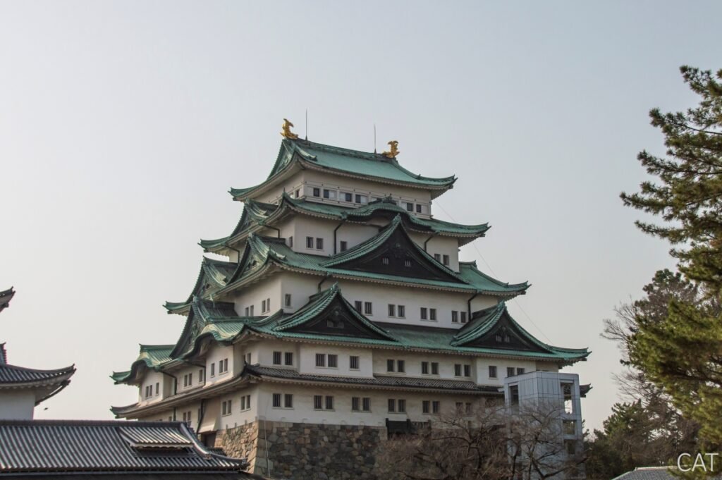 Odawara, Hakone, Fujiyoshida y Nagoya: Castillos, Fuji y Onsen: Castillo de Nagoya
