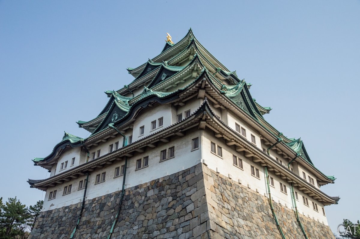 Odawara, Hakone, Fujiyoshida y Nagoya: Castillos, Fuji y Onsen: Castillo de Nagoya