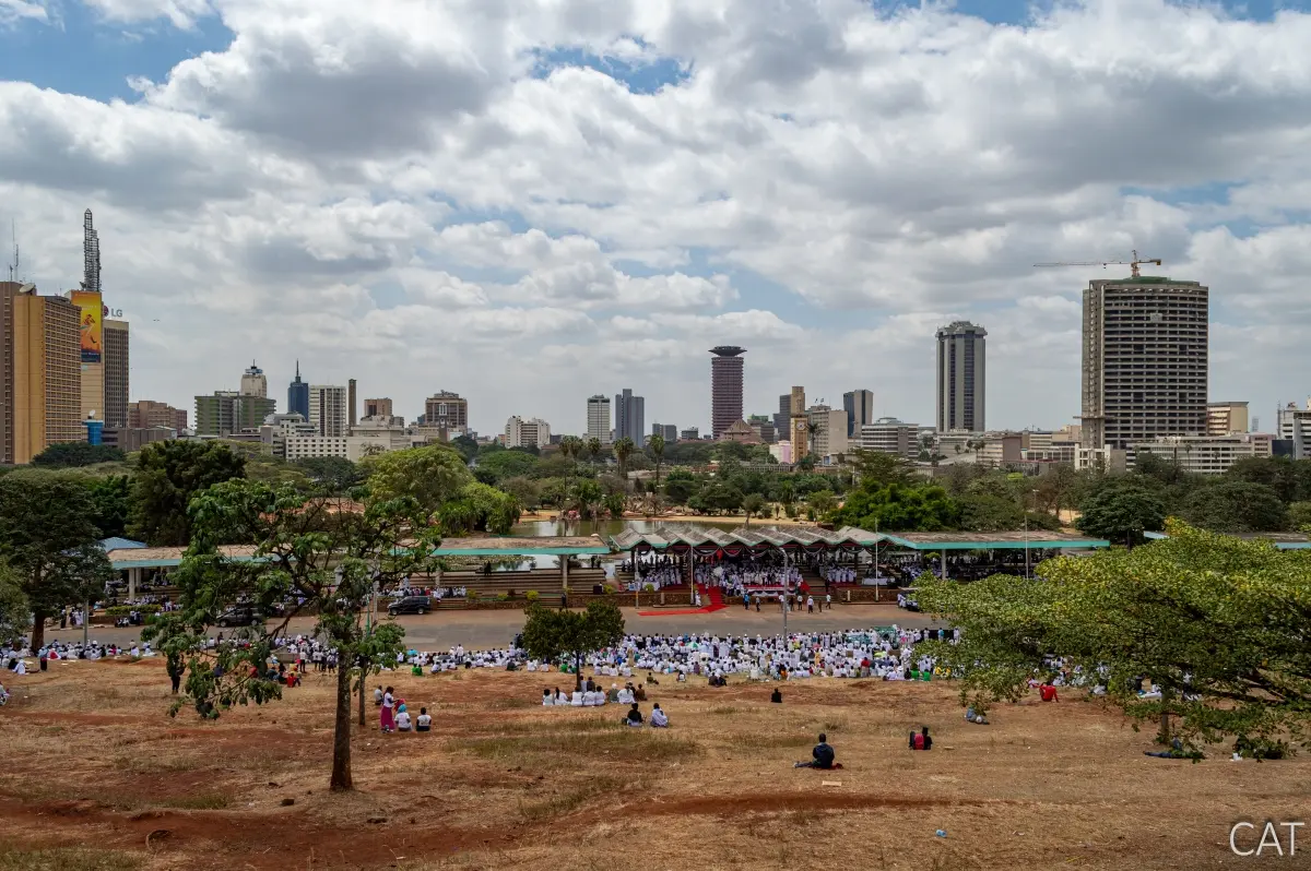 The Big 5 (Kenya and Tanzania)