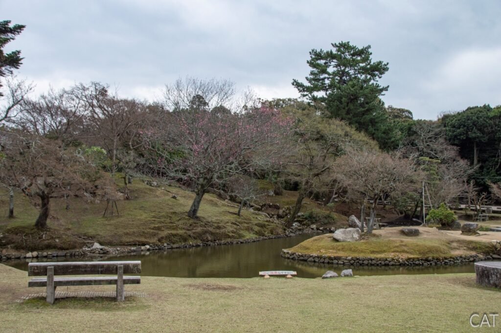 The Best of Kyoto in 3 days: Nara Park