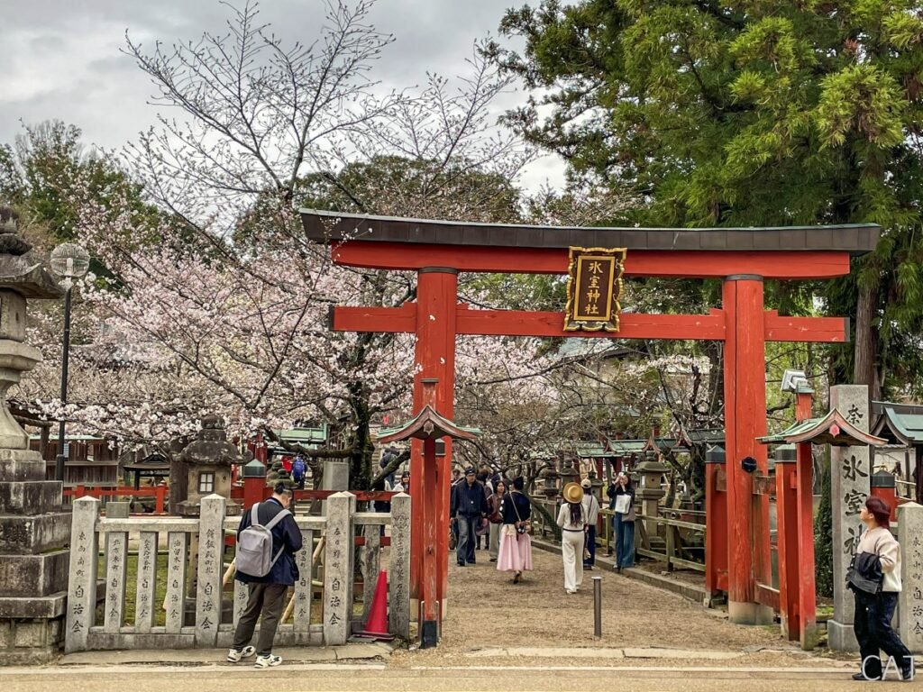 Nara_Santuario Himuro