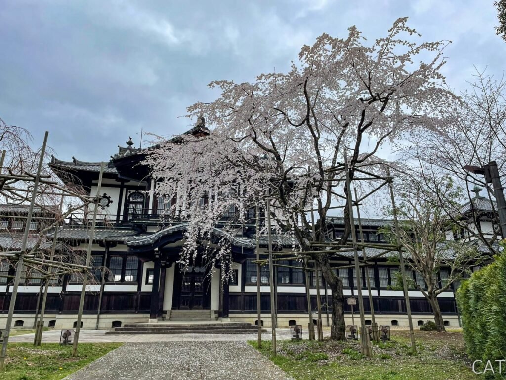 The Best of Kyoto in 3 days: Nara_Himuro Shrine