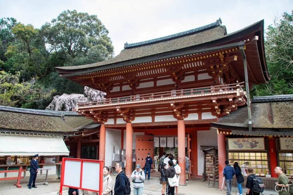The Best of Kyoto in 3 days: Nara_Kasuga Taisha Shrine
