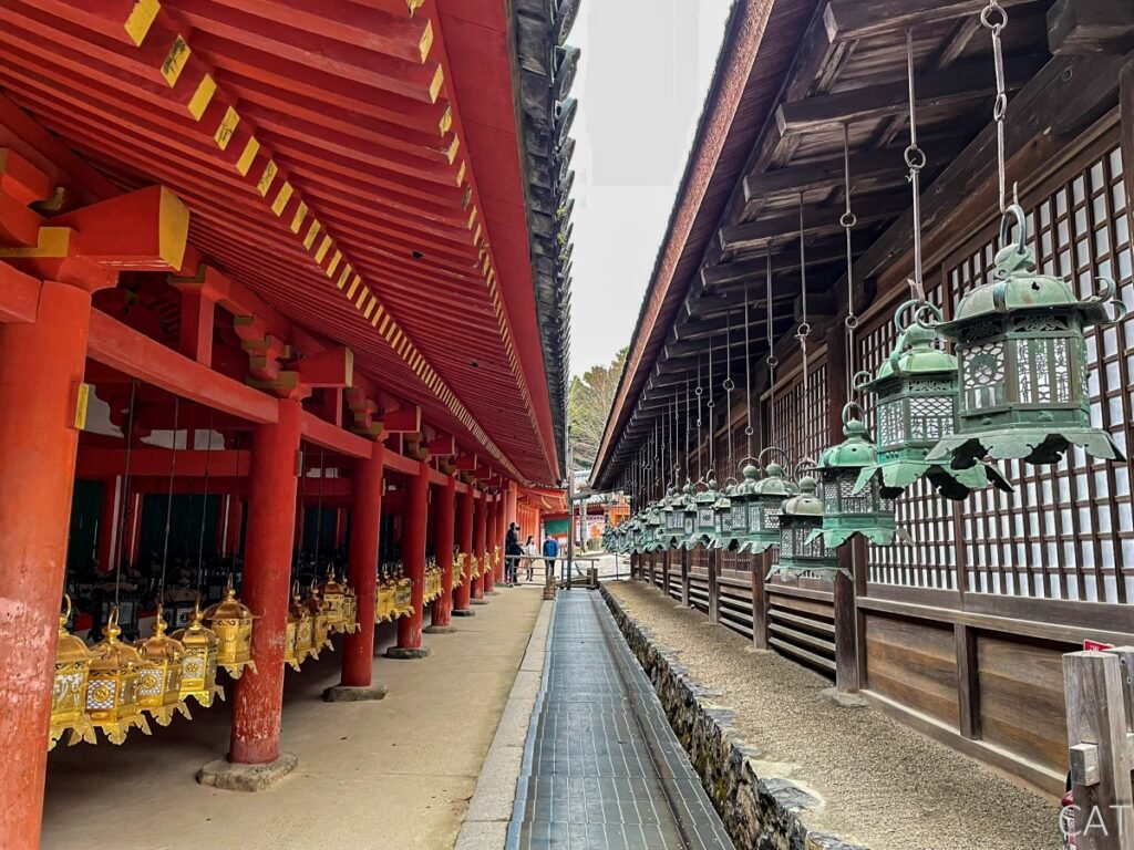 The Best of Kyoto in 3 days: Nara_Kasuga Taisha Shrine_Lanterns