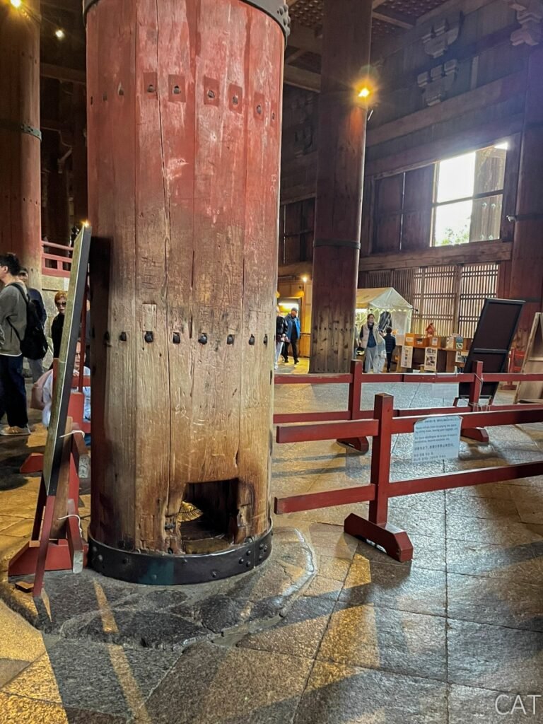 Nara_Todai-ji Temple_The Great Buddha