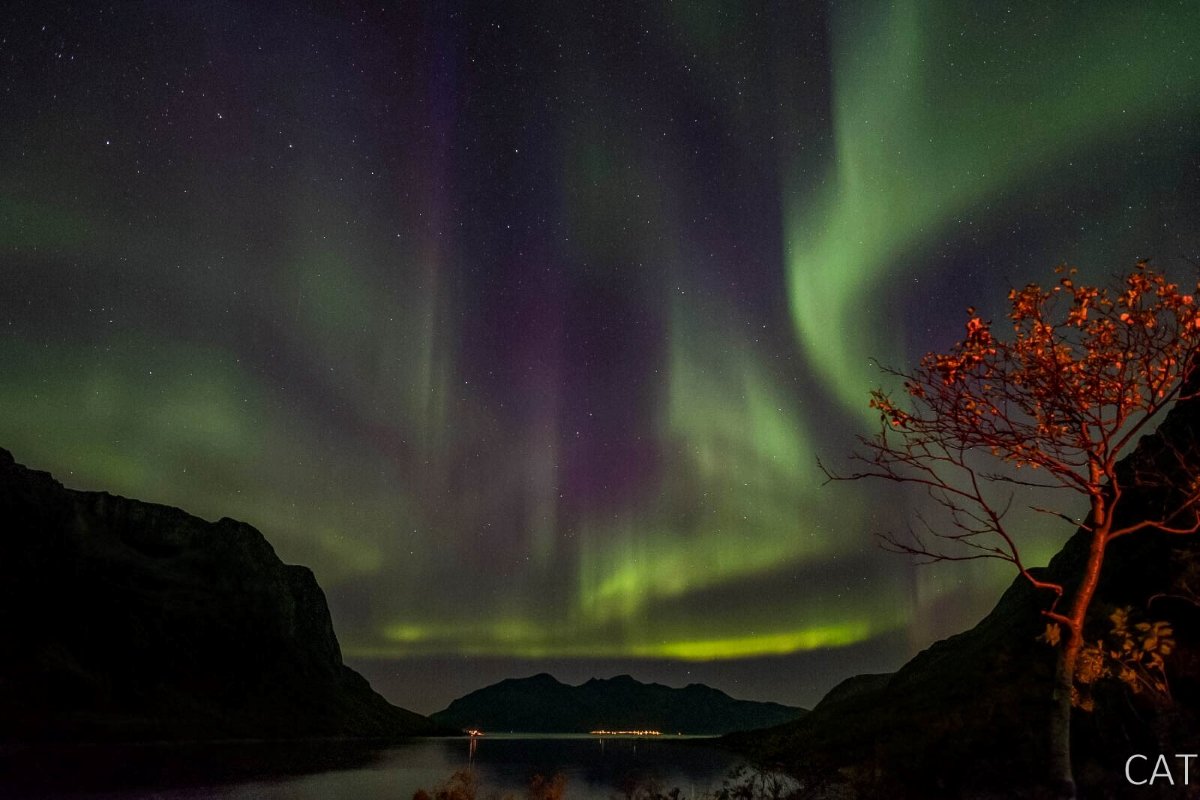 Aurora Boreal_Tromsø