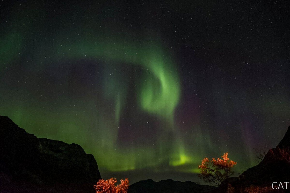 Aurora Boreal_Tromsø