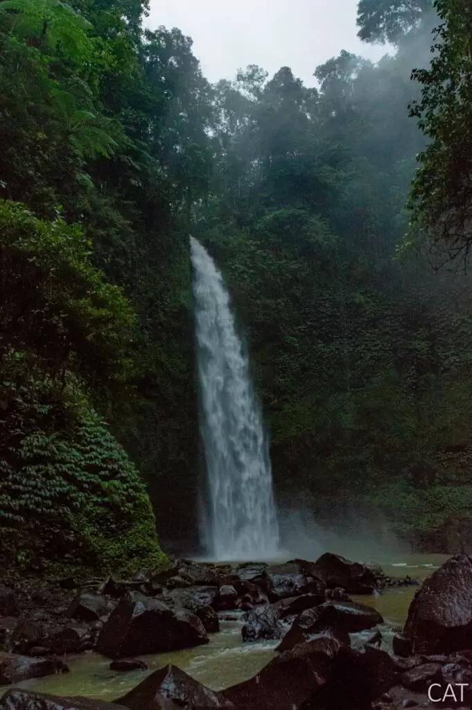 Bali in 7 days