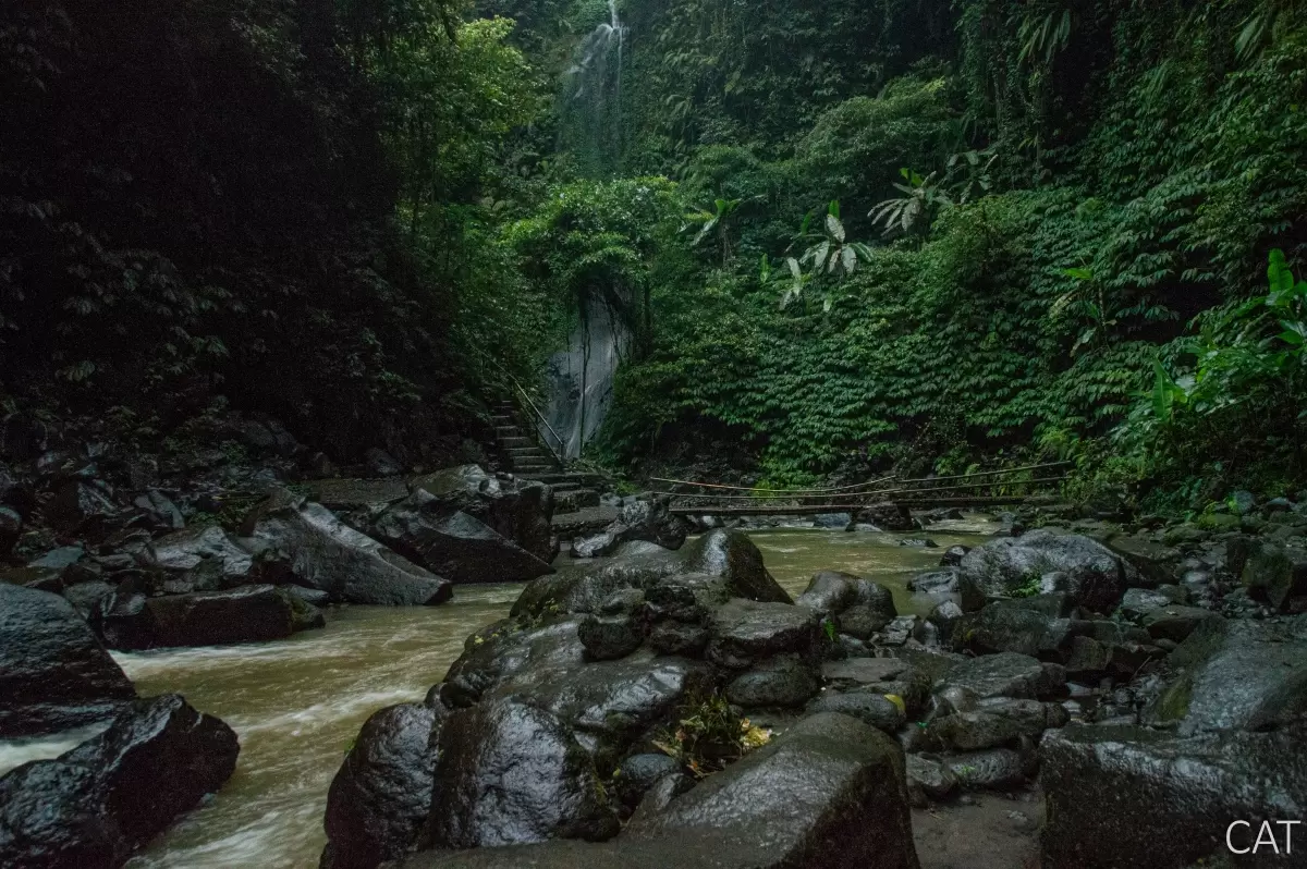 Bali in 7 days