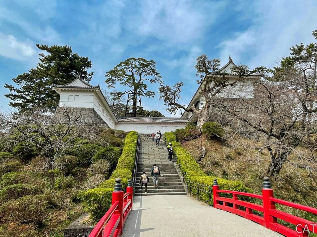Odawara, Hakone, Fujiyoshida & Nagoya: Castles, Onsen, Fuji_Odawara Castle