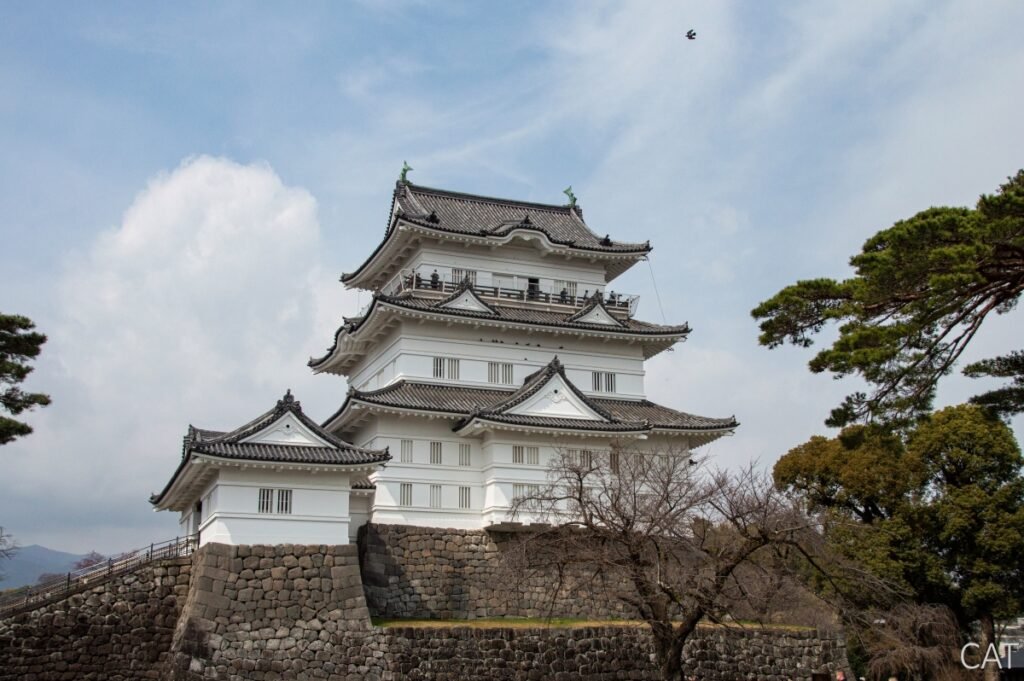 Odawara, Hakone, Fujiyoshida & Nagoya: Castles, Onsen, Fuji_Odawara Castle