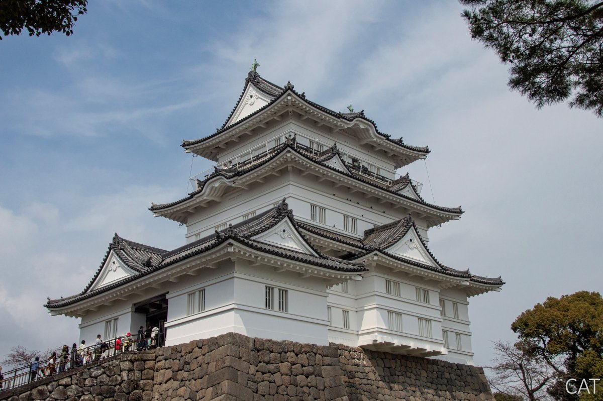 Odawara, Hakone, Fujiyoshida y Nagoya: Castillos, Fuji y Onsen: Castillo Odawara