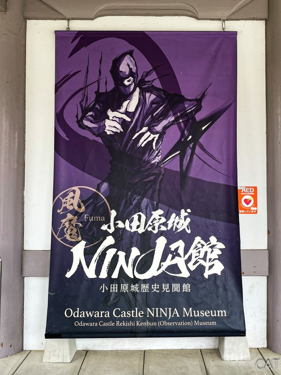 Odawara, Hakone, Fujiyoshida & Nagoya: Castles, Onsen, Fuji_Odawara_ninja museum