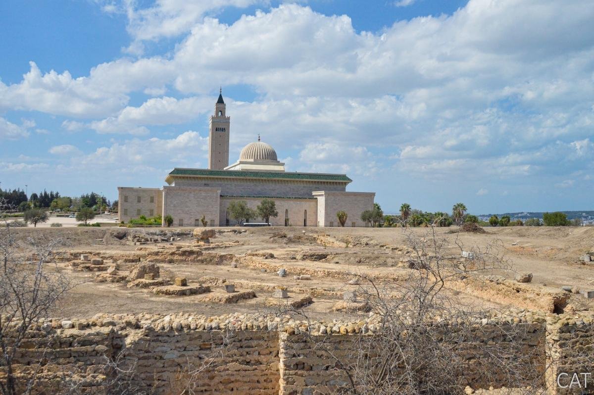 8 days in Tunisia