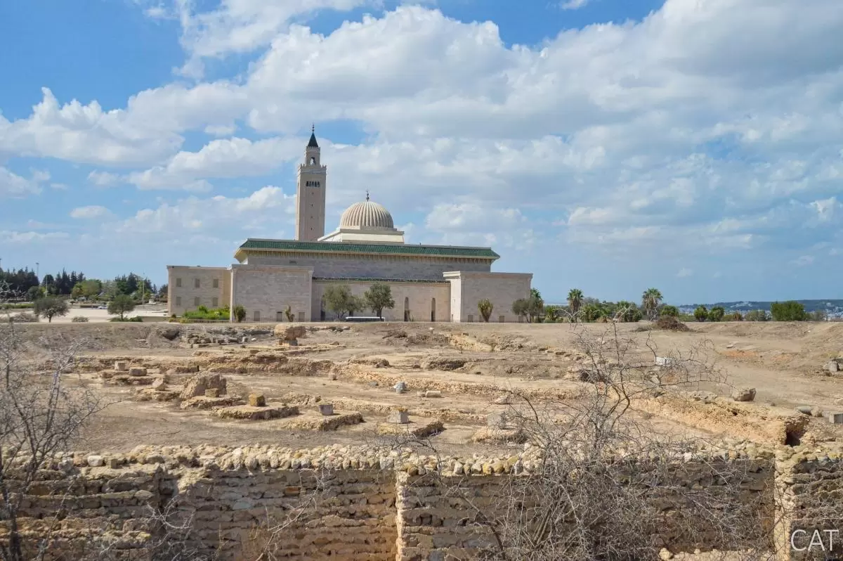 8 days in Tunisia