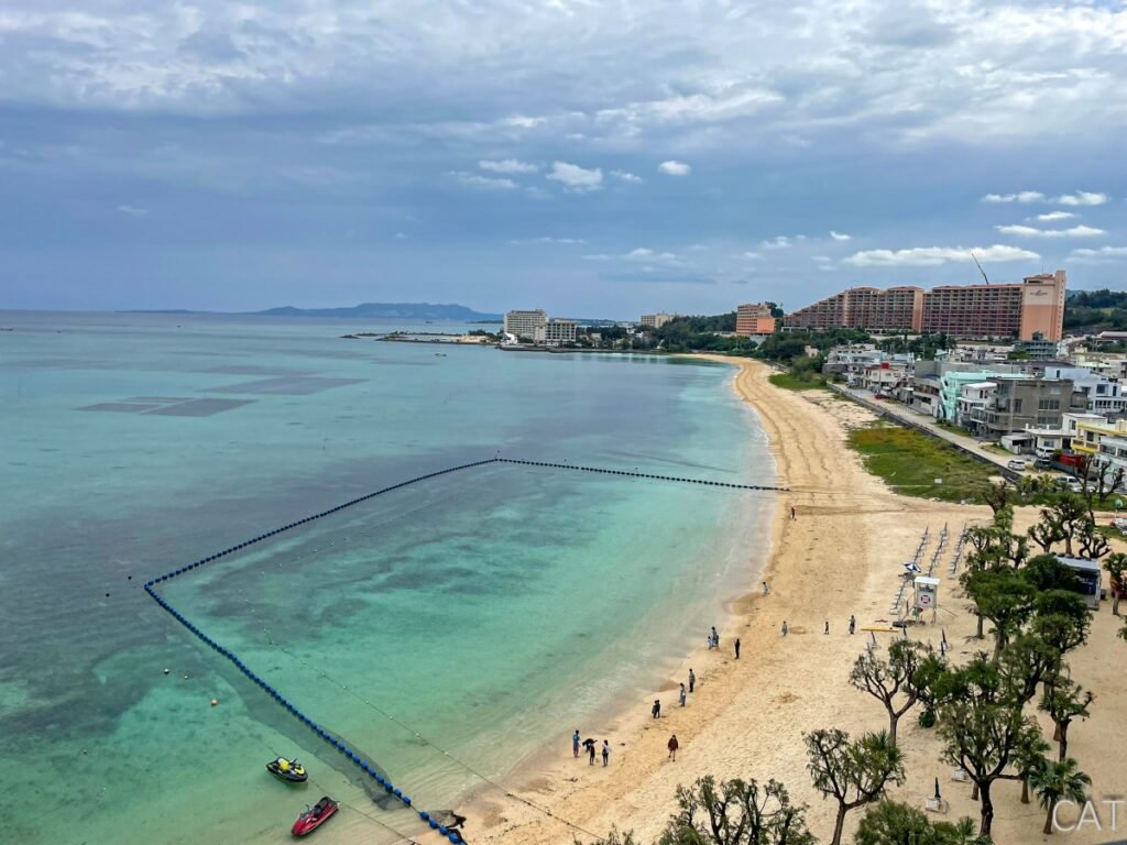 Okinawa_Tiger Beach