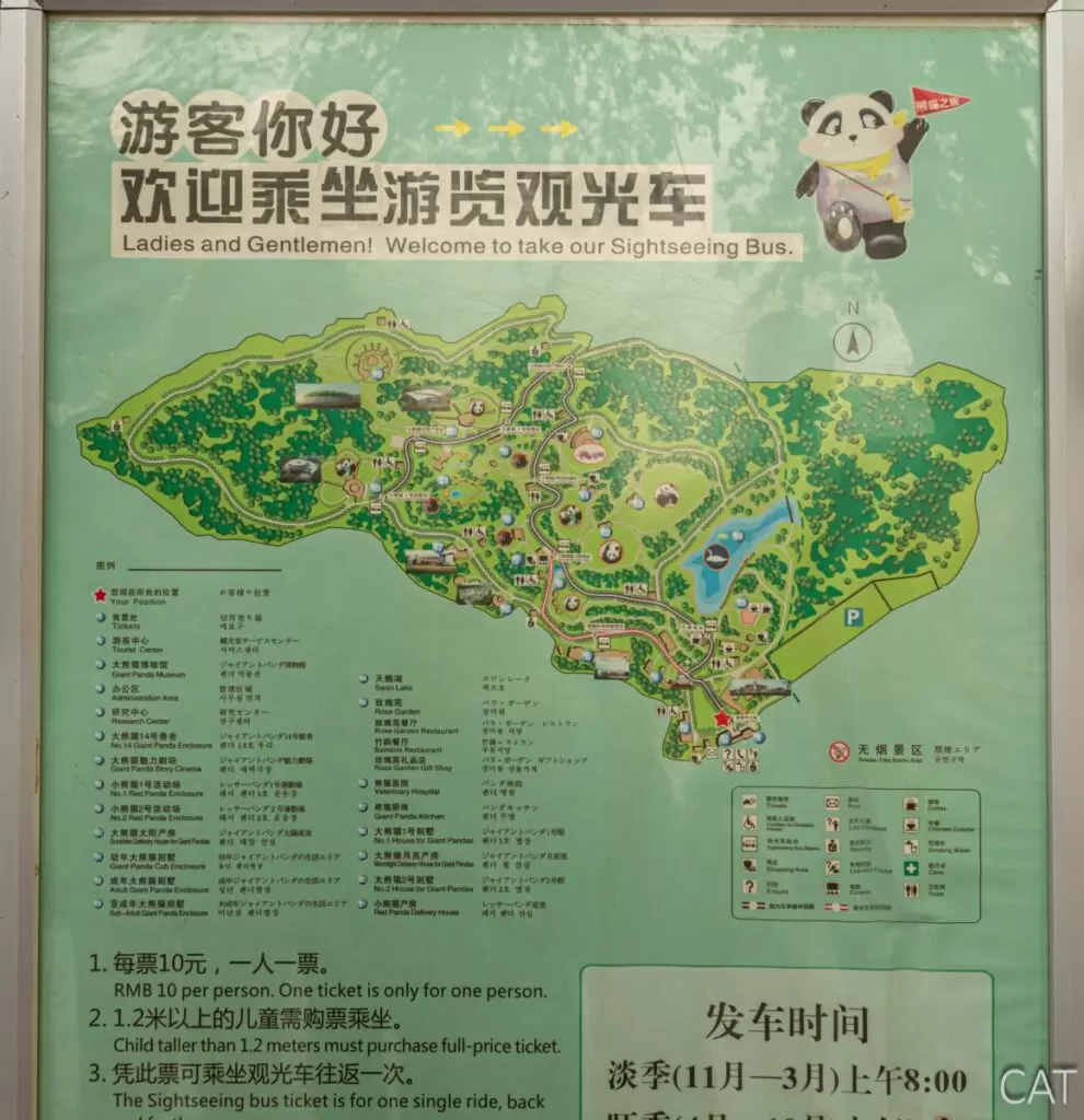 Pandas