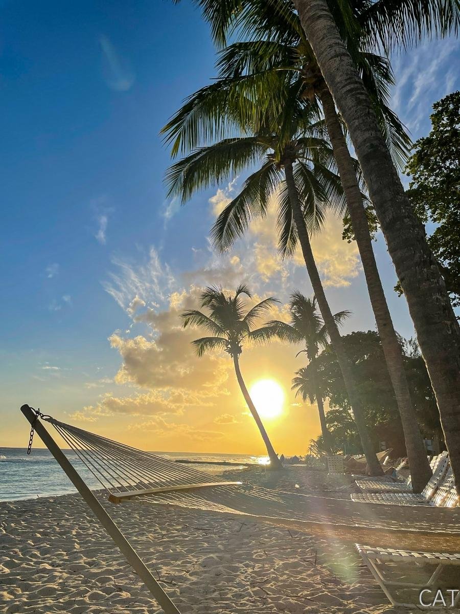 10 days in Barbados