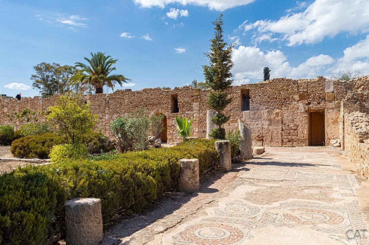 8 days in Tunisia