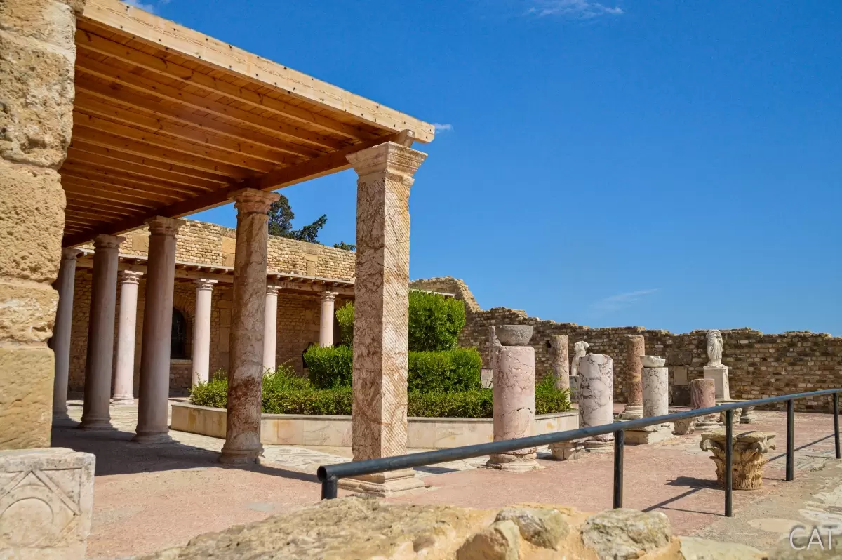 8 days in Tunisia