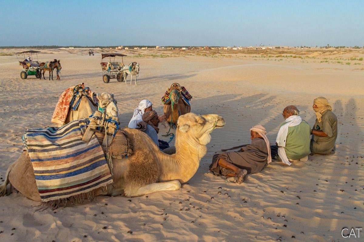 8 days in Tunisia