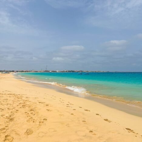 Sea Turtles: Where to See, Swim With & Protect Them