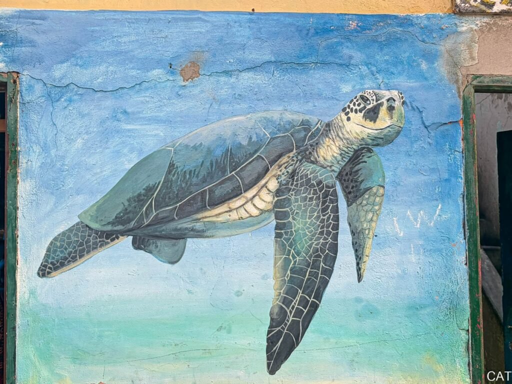 Santa Maria Town_turtle painting