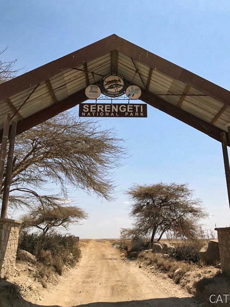 The Big 5 (Kenya and Tanzania)