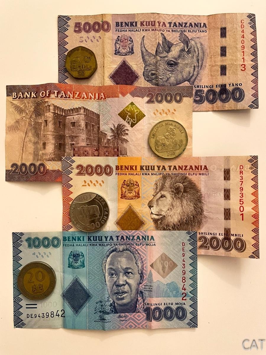 Tanzania — Información de Viaje