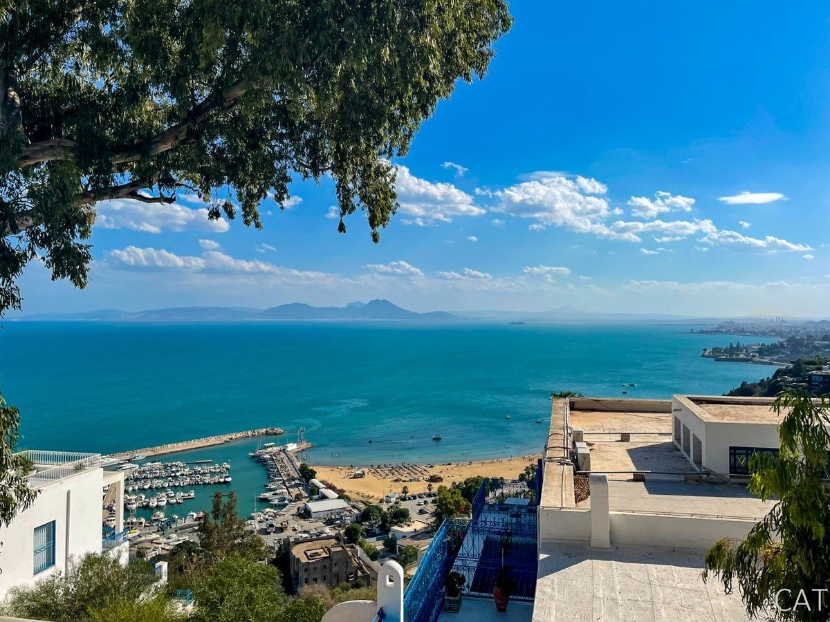 8 days in Tunisia