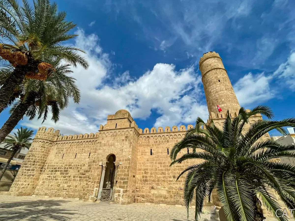 8 days in Tunisia