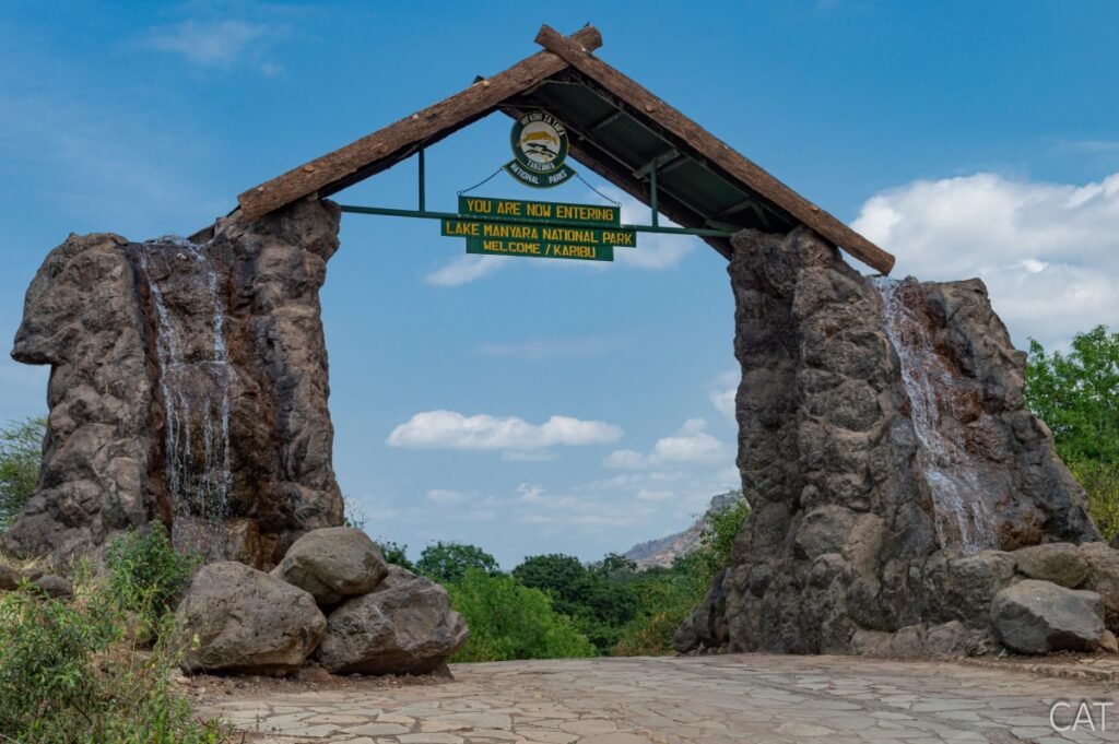 The Big 5 (Kenya and Tanzania)