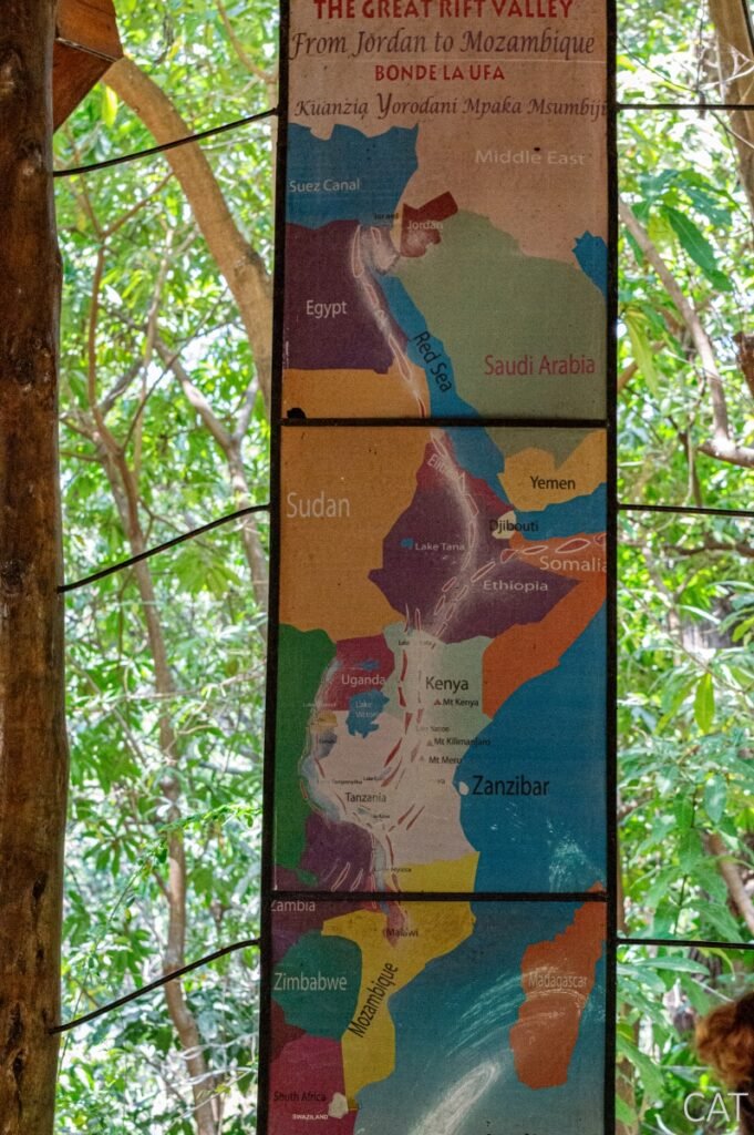 The Big 5 (Kenya and Tanzania)