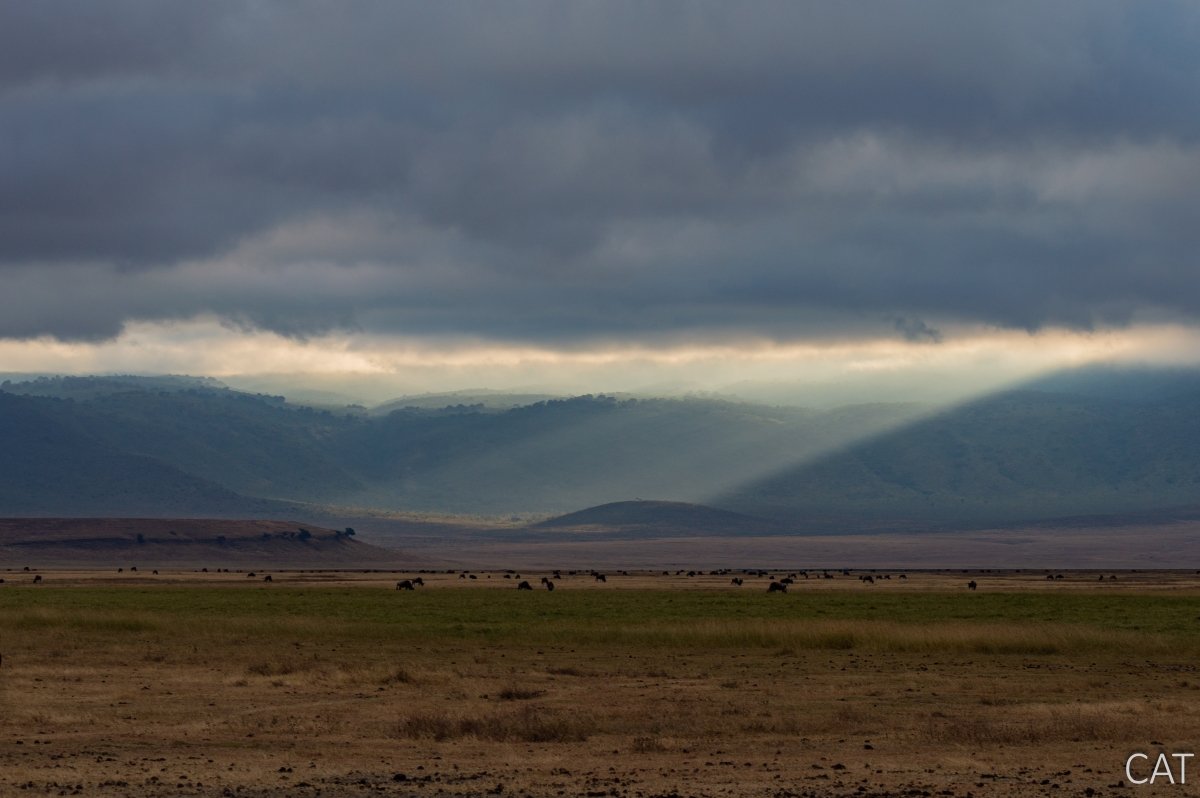 The Big 5 (Kenya and Tanzania)