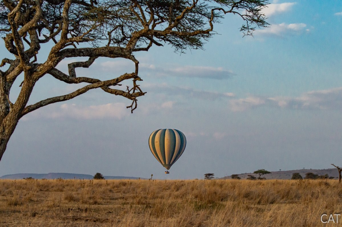 The Big 5 (Kenya and Tanzania)