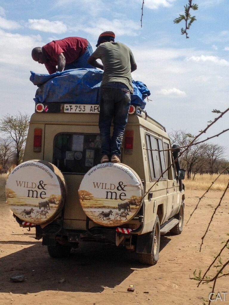 The Big 5 (Kenya and Tanzania)