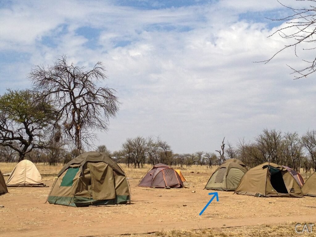 The Big 5 (Kenya and Tanzania)