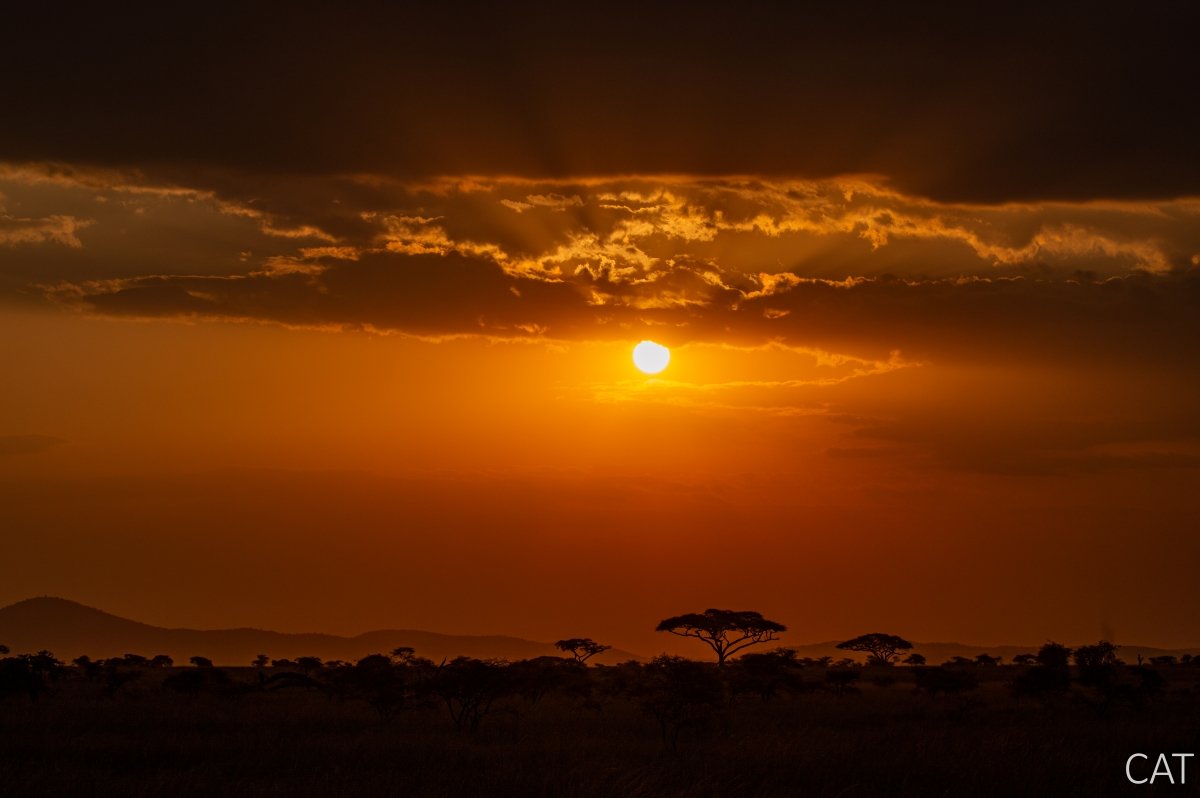 The Big 5 (Kenya and Tanzania)