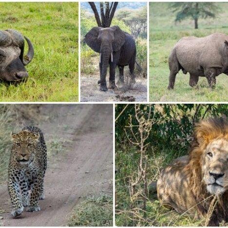 Tanzania — Información de Viaje