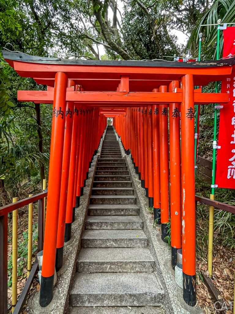 Tokyo 4-Day Itinerary: Hie Shrine