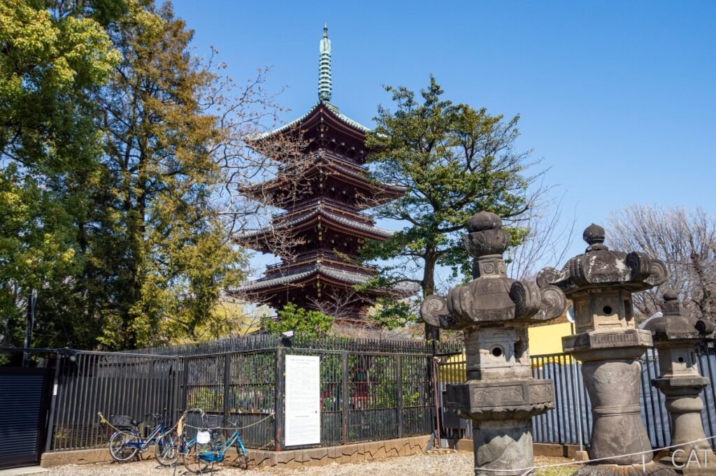 Tokio en 4 días: Pagoda Cinco pisos