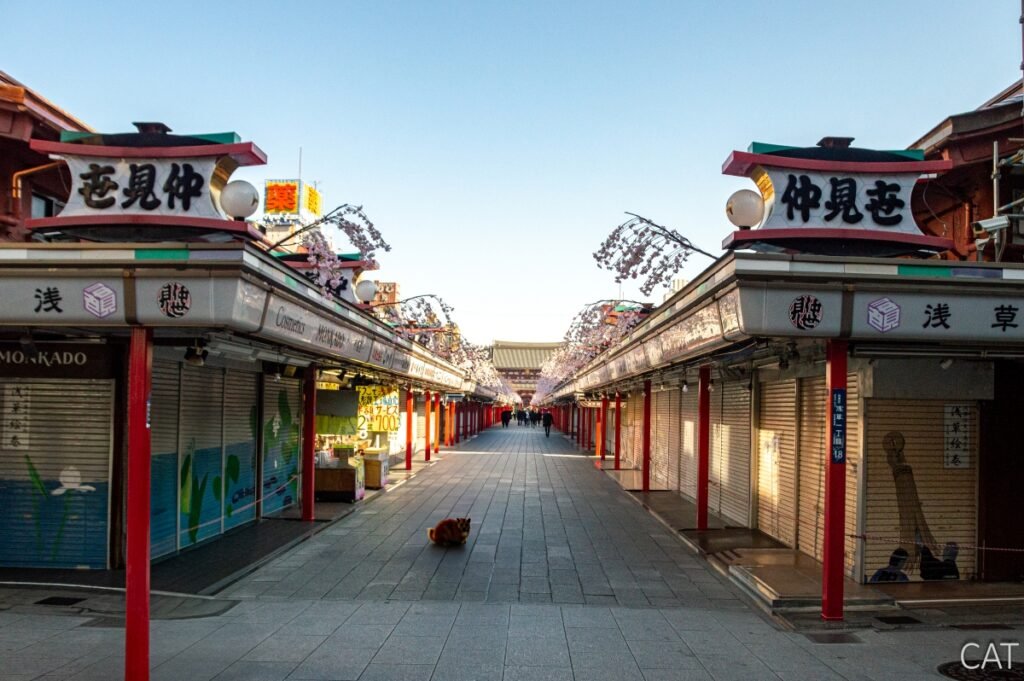 Tokyo 4-day Itinerary: Nakamise Street
