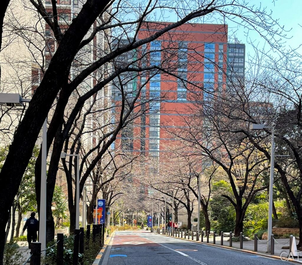 Roppongi Sakura-zaka