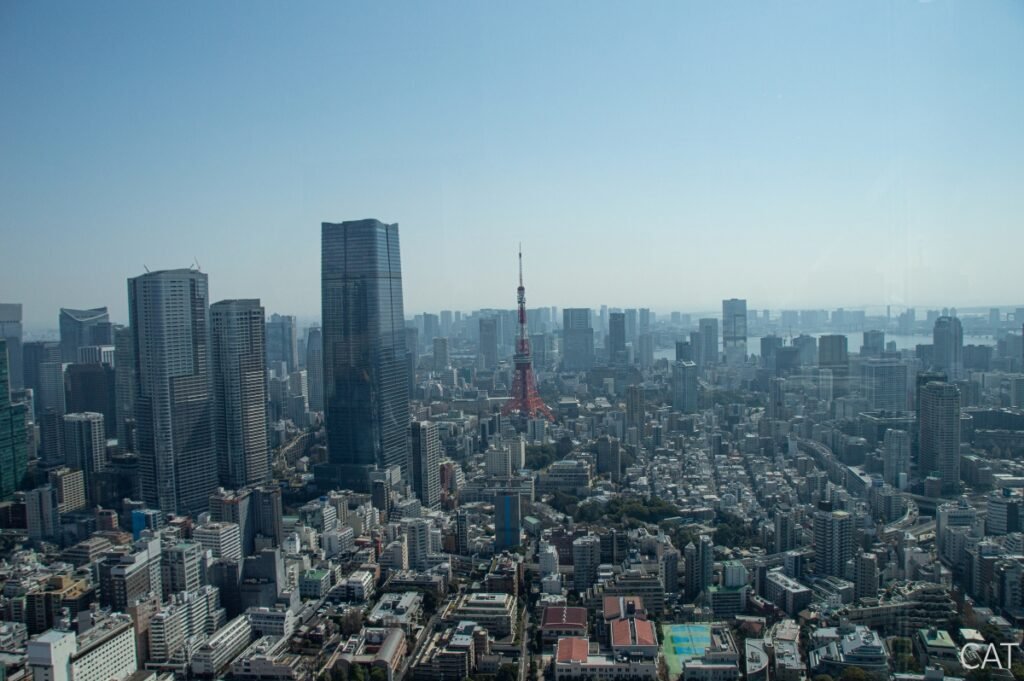 Tokyo City View