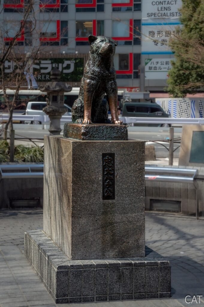 Tokyo_Shibuya_Hachiko