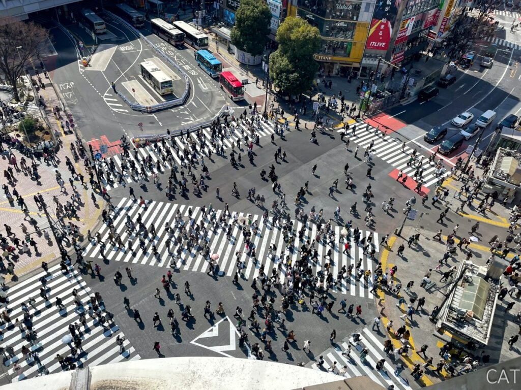 Shibuya Scramble Crossing