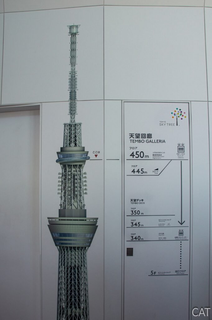 Tokio en 4 días: Tokyo Skytree