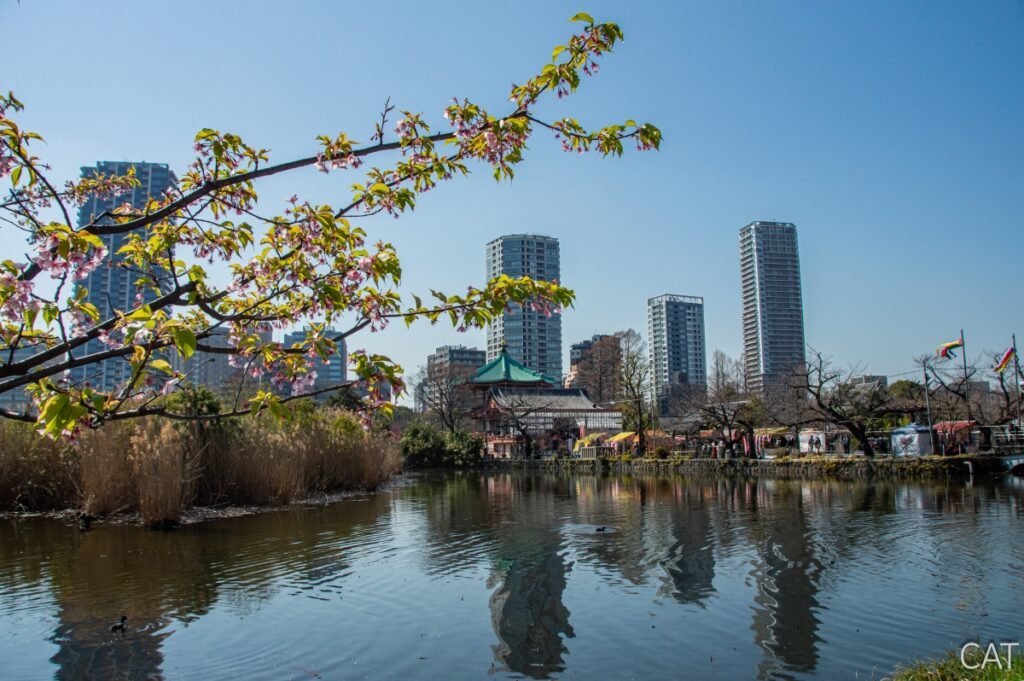 Tokio en 4 días: Estanque Shinobazu